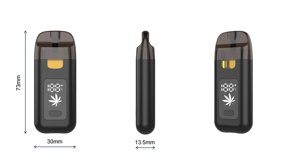 Pocket-Friendly AIO Vape – Dual Coil, 1ml / 2ml Tank, LCD Screen price